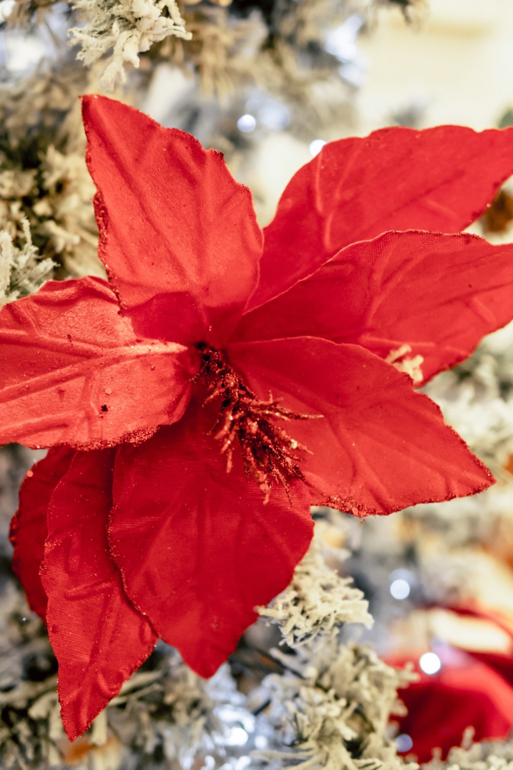 Yule Simmerpot: Honoring the return of the&nbsp;Light