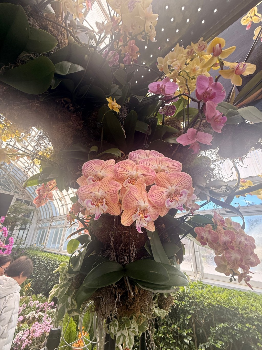 A new Never ending&nbsp;Wave